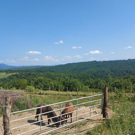 Bitini Farm Apartment Gračišče Eksteriør billede