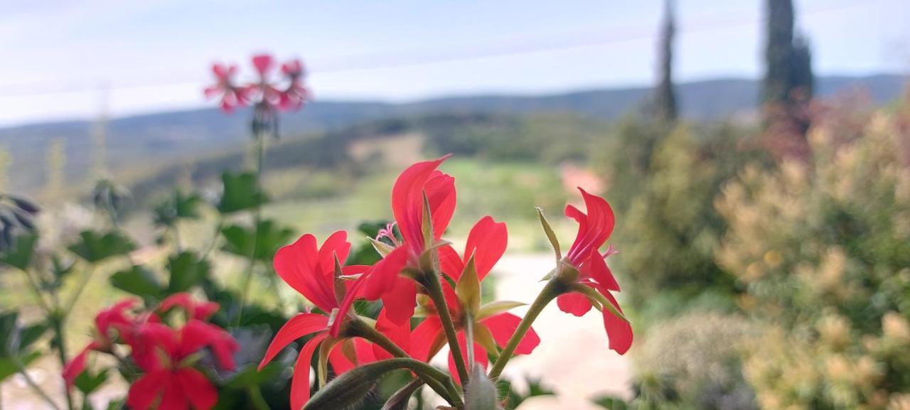 Bitini Farm Apartment Gračišče Eksteriør billede